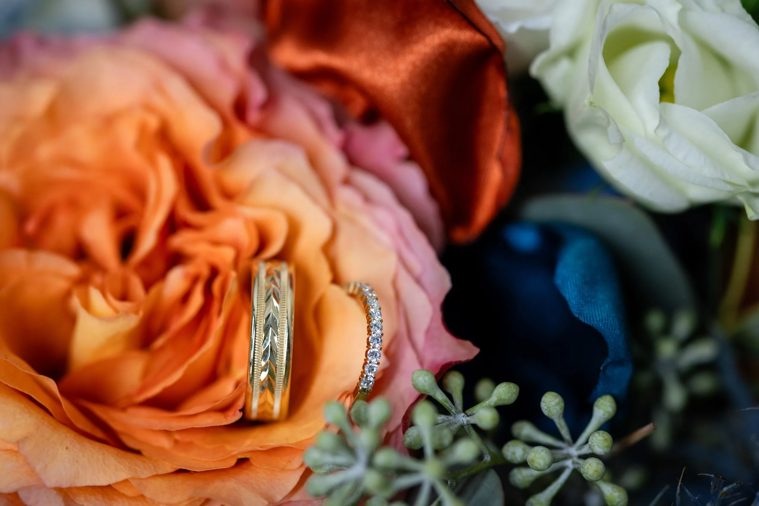 Wedding bands nested in an orange rose, macro detail